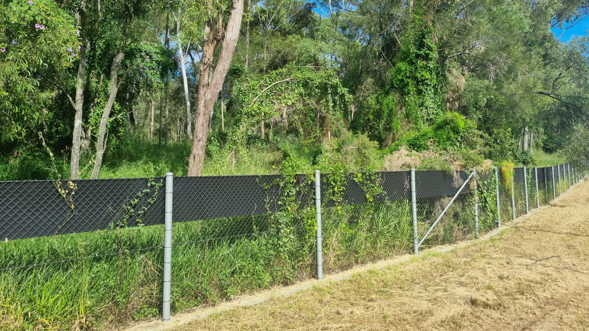 Economic Barriers to Effective Weed Control in Australia