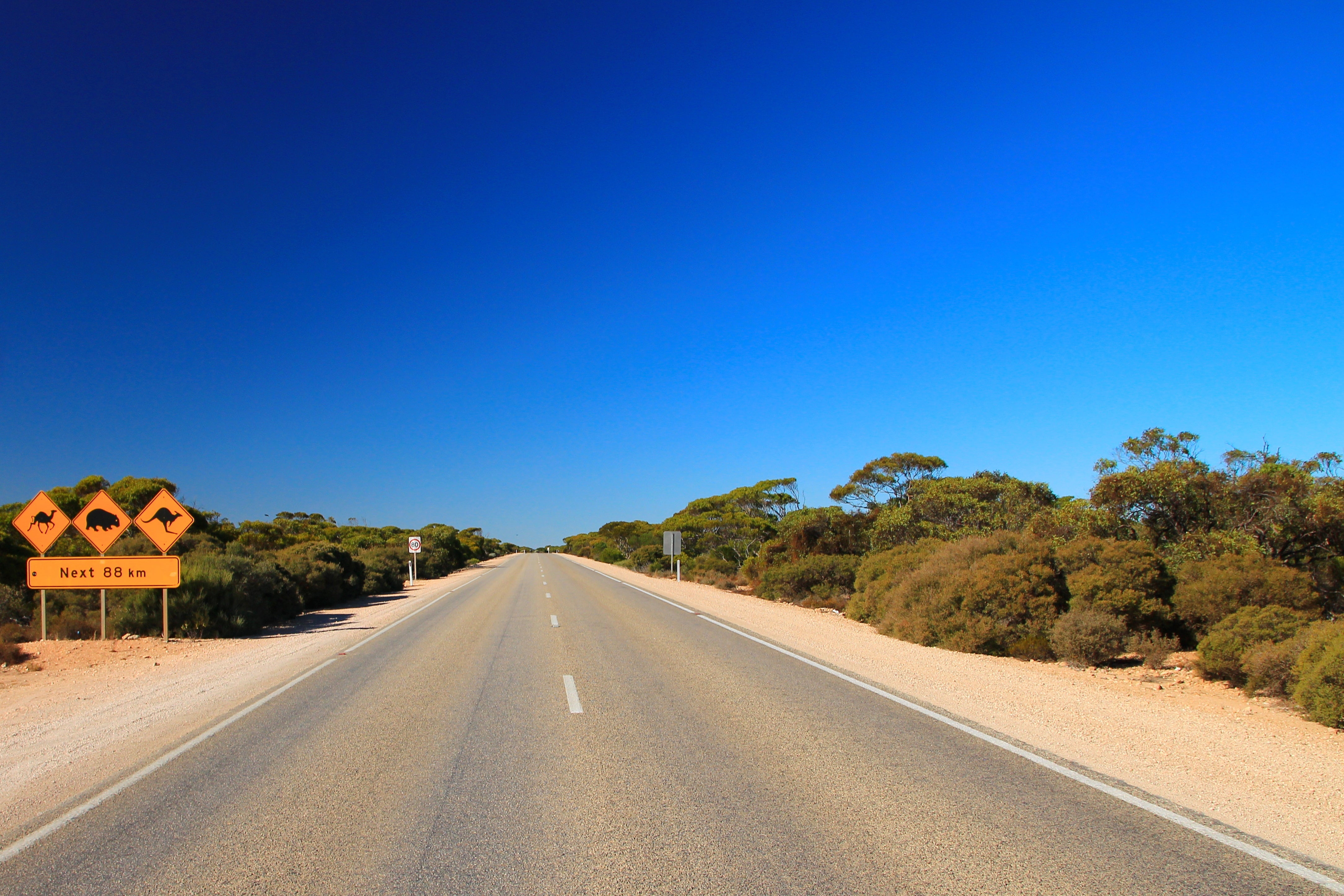 an australian highway with no weeds