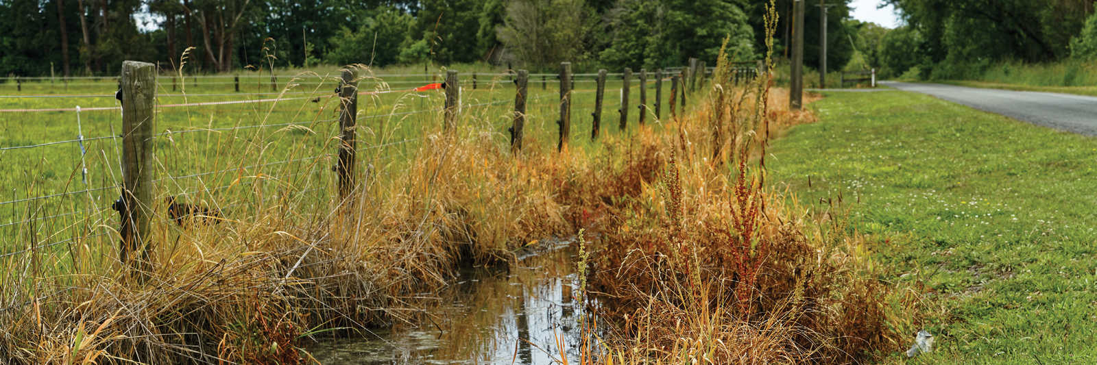 Weeds along roadside, fence line and water way treated with herbicide