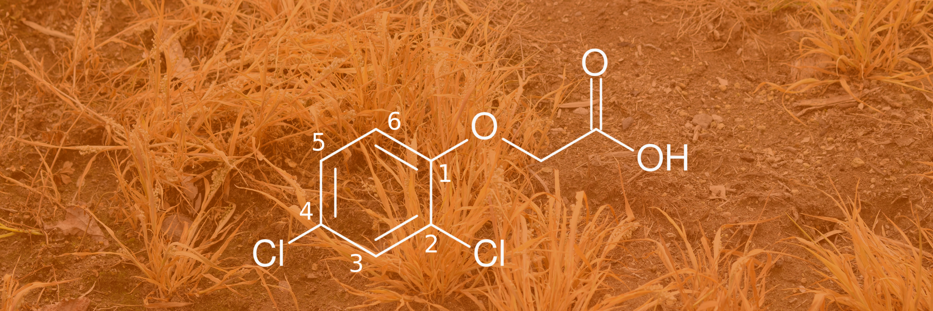 GWS Guide to Active Ingredients - 2,4-D