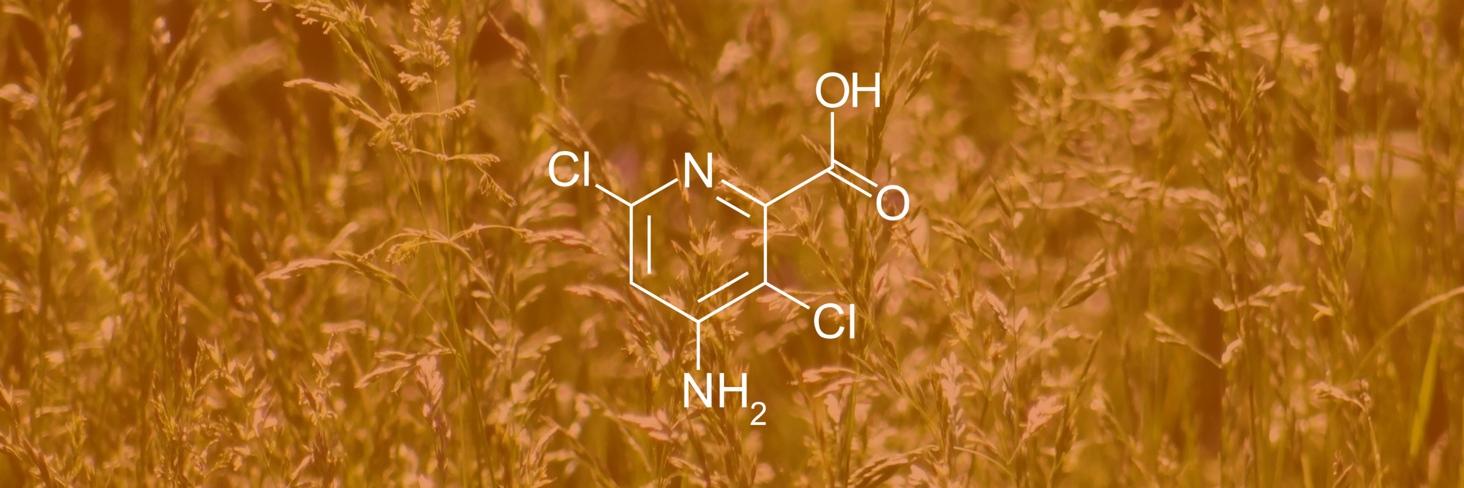GWS Guide to Active Ingredients - Aminopyralid