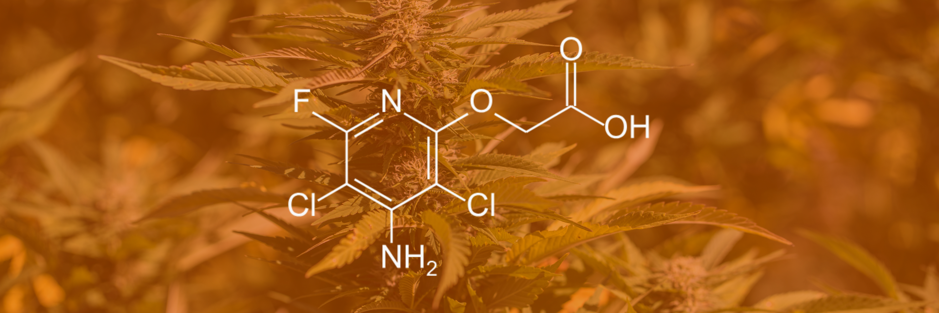 GWS Guide to Active Ingredients - Fluroxypyr