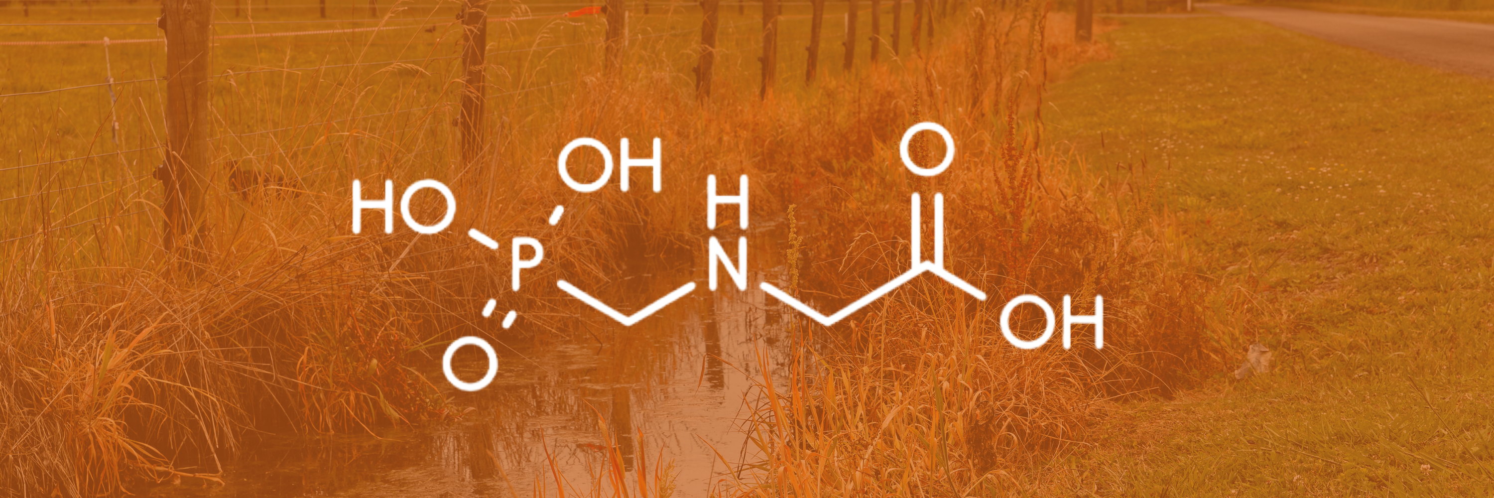 GWS Guide to Active Ingredients - Glyphosate