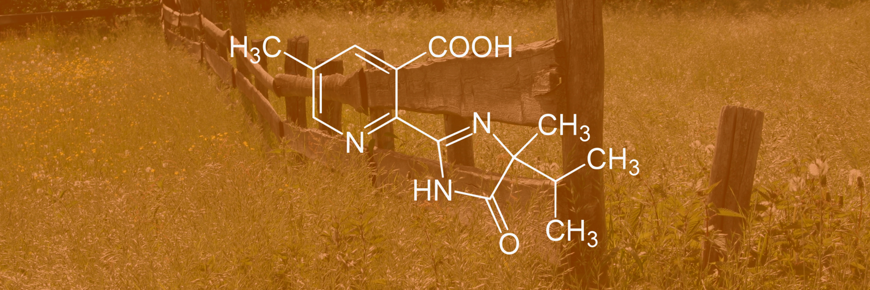 GWS Guide to Active Ingredients - Imazapic