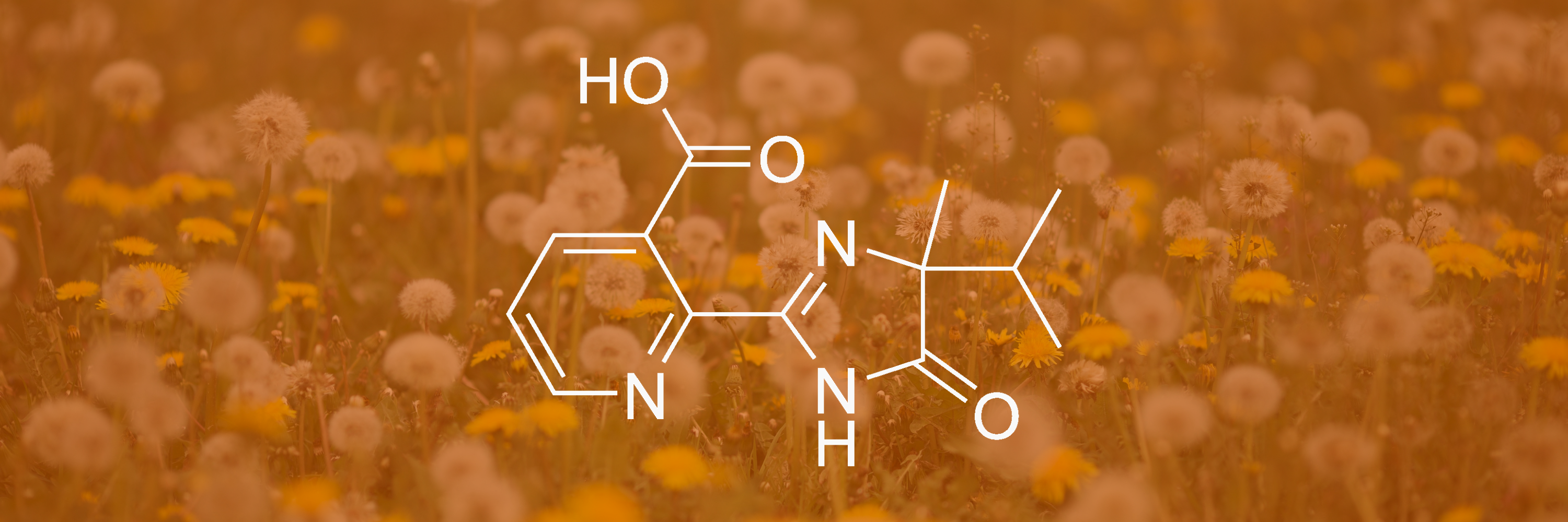 GWS Guide to Active Ingredients - Imazapyr