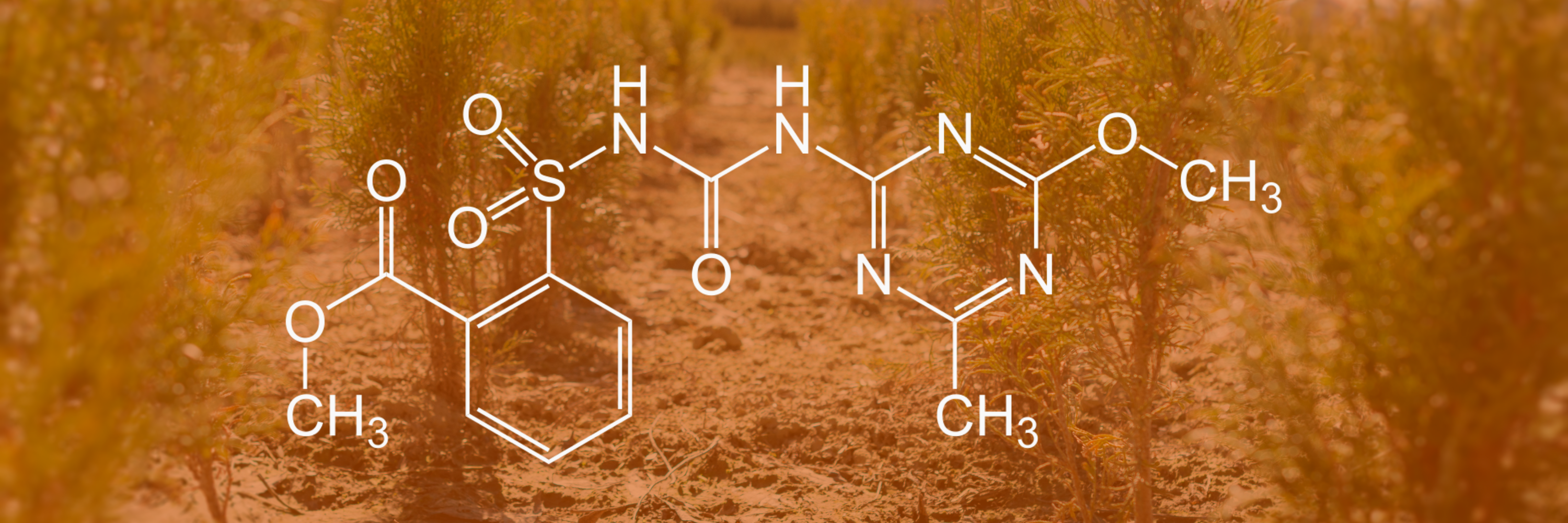 GWS Guide to Active Ingredients - Metsulfuron-Methyl