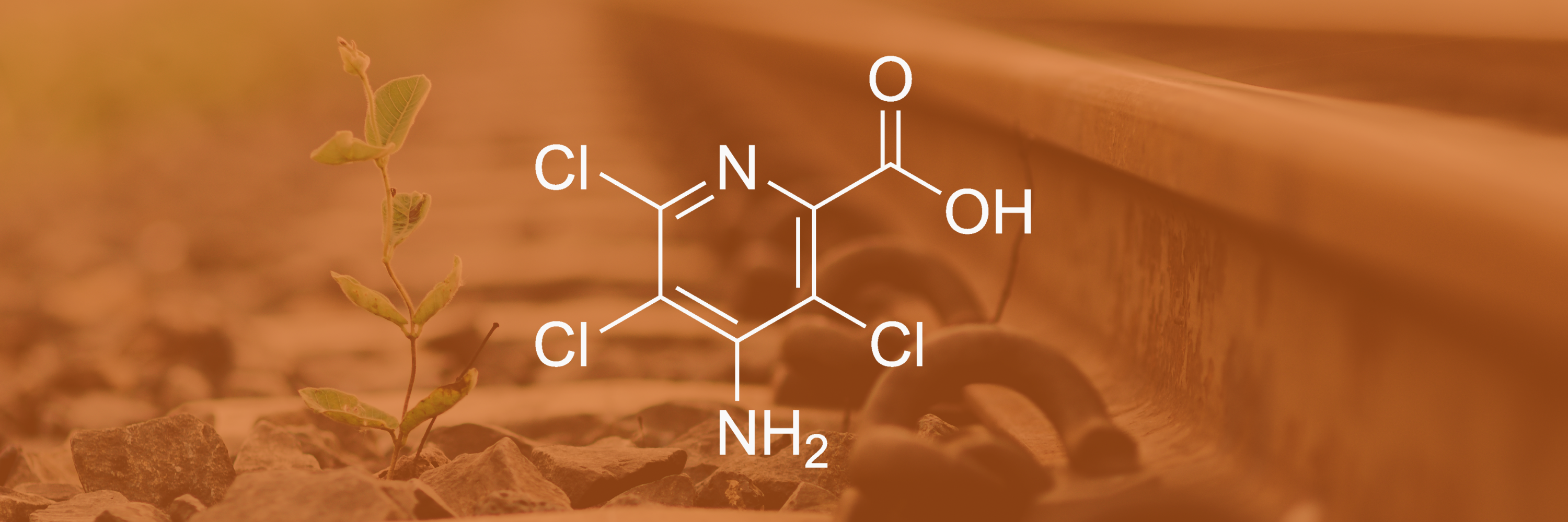 GWS Guide to Active Ingredients - Picloram