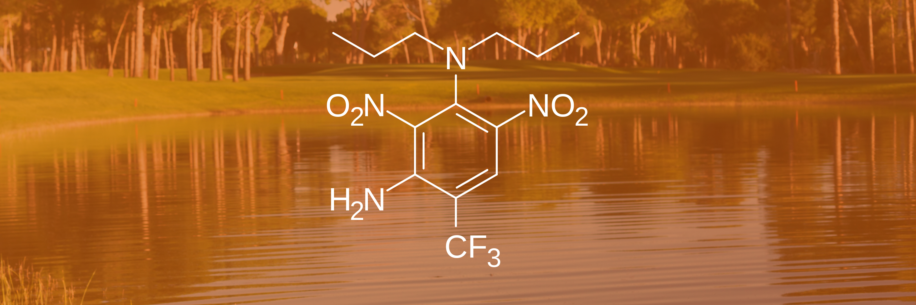 GWS Guide to Active Ingredients - Prodiamine