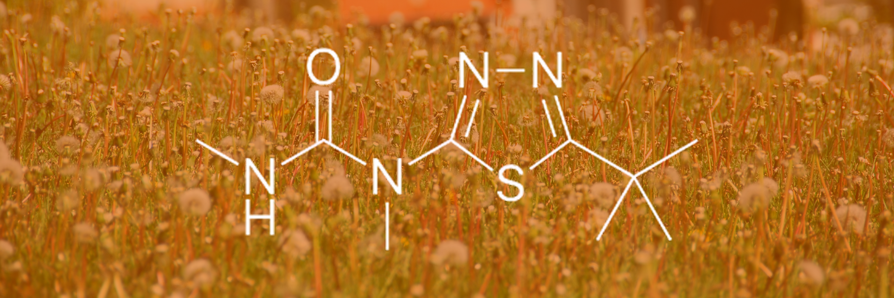 GWS Guide to Active Ingredients - Tebuthiuron