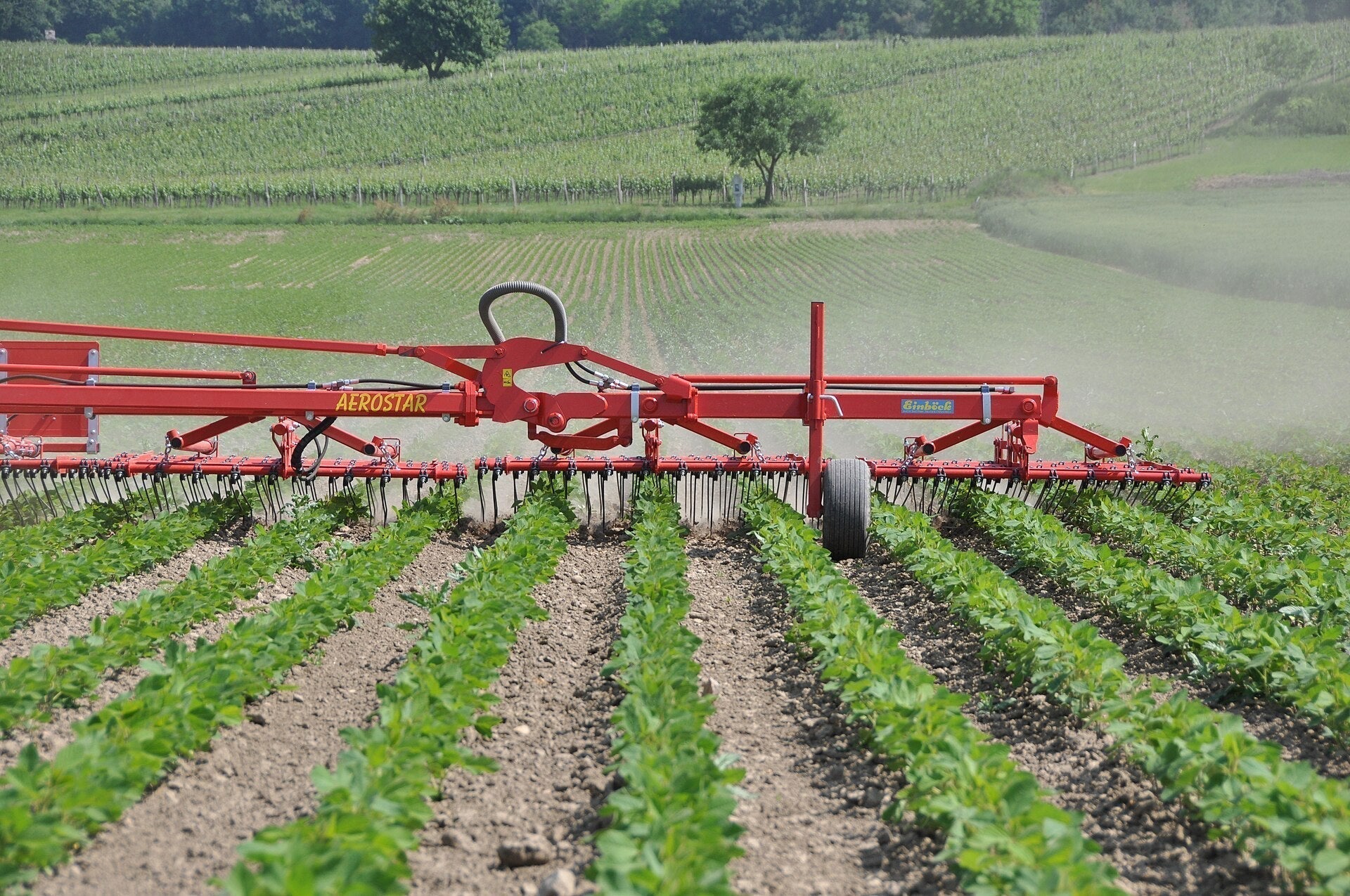Integrated Weed Management: A Holistic Approach to Weed Control