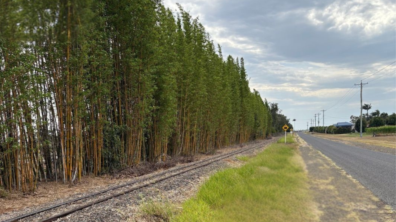 Smarter growth management with Padre 270 for linear infrastructure and managed vegetation zones