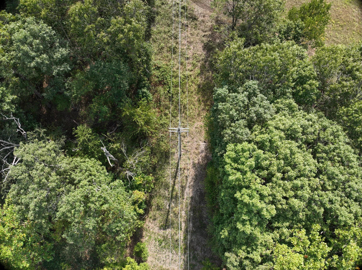 Artificial Intelligence and the Future of Infrastructure Vegetation Management