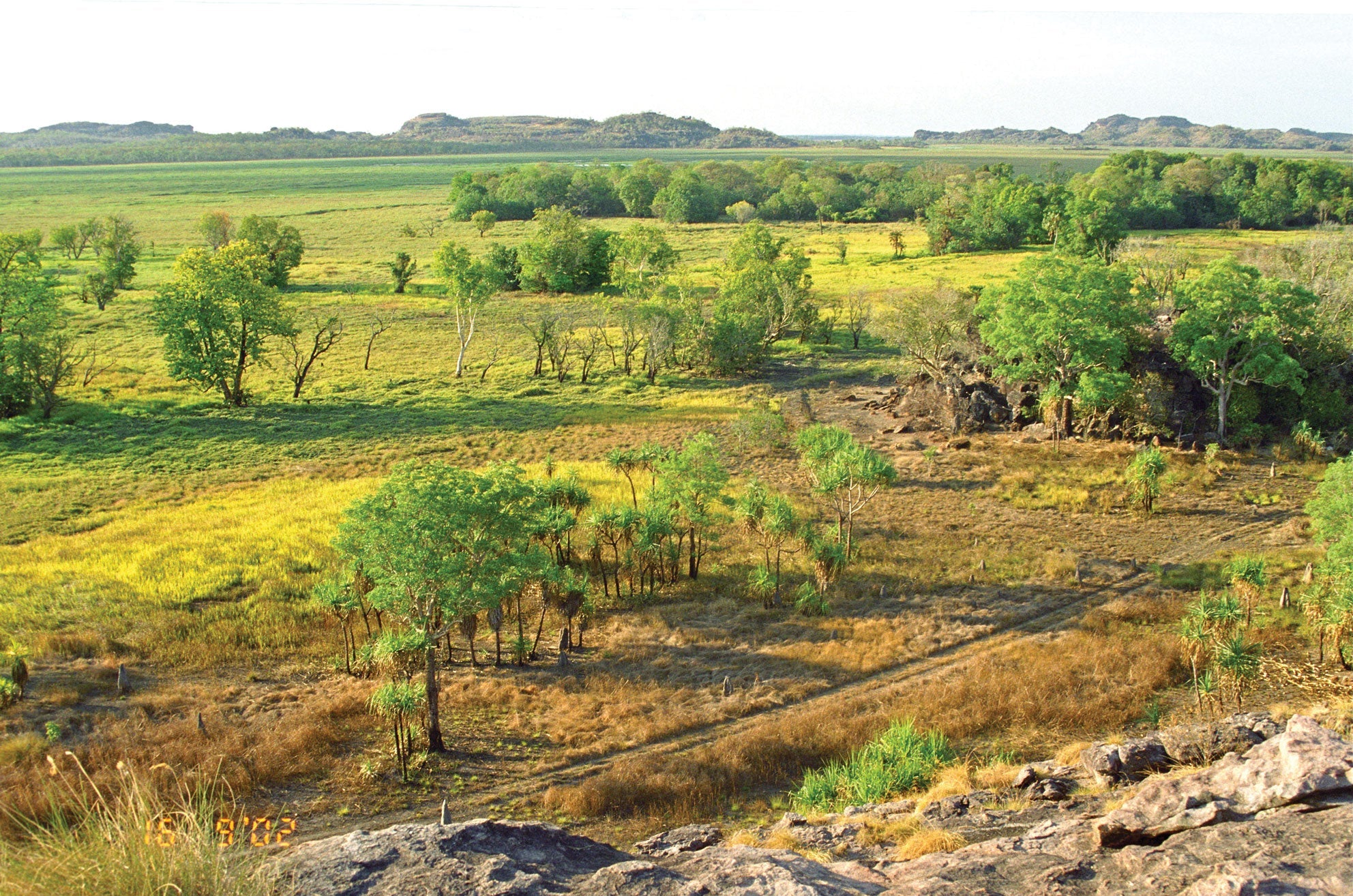 Integrated Weed Management - Combining Traditional and Innovative Practices for Restoration Success