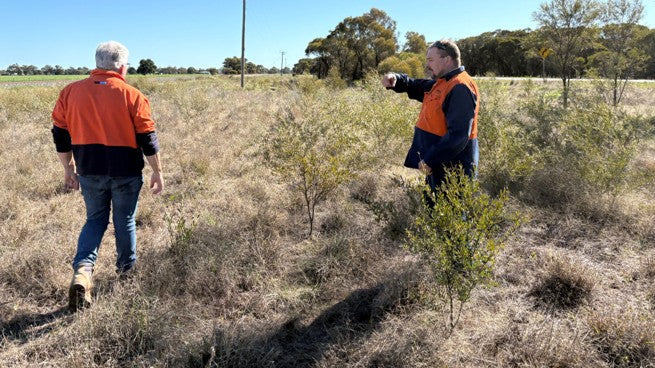 Integrated Vegetation Management: Managing Outcomes, Not Treatments