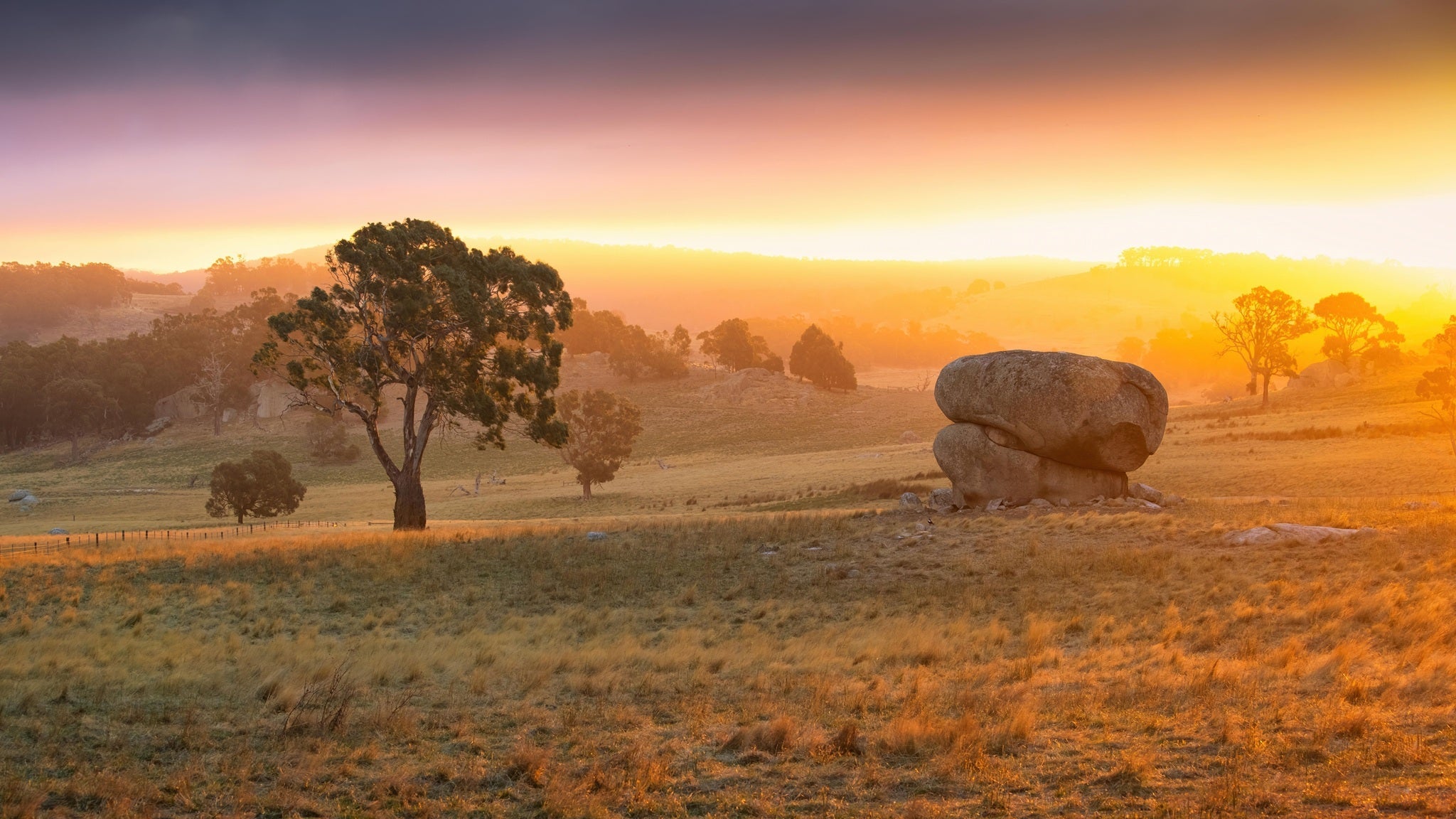 Selective Solutions: Using Broadleaf Herbicides to Restore Grassland Ecosystems