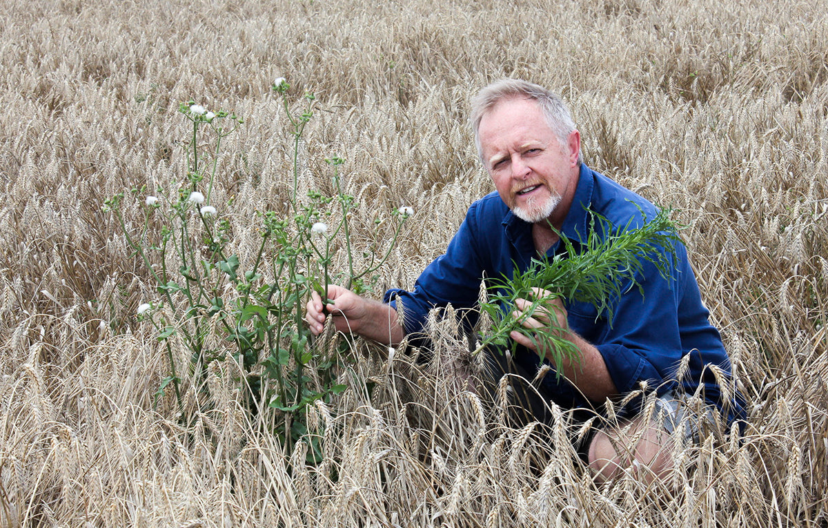 Technical Advice for Weeds management