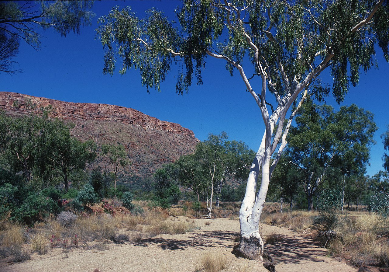 Restoring Balance: Valuing Ecosystems and Innovative Solutions for Natural Area Recovery