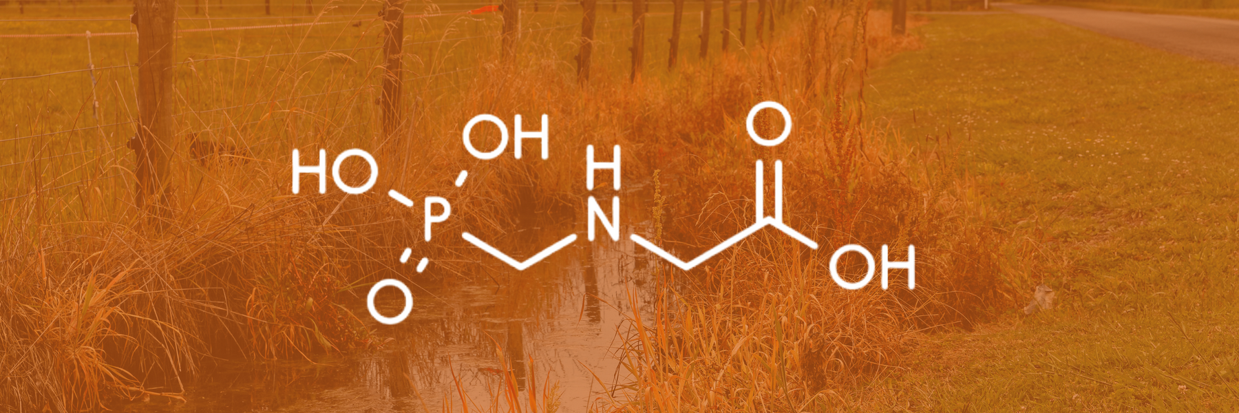 Greenway Weed Solutions - Blogs and Articles