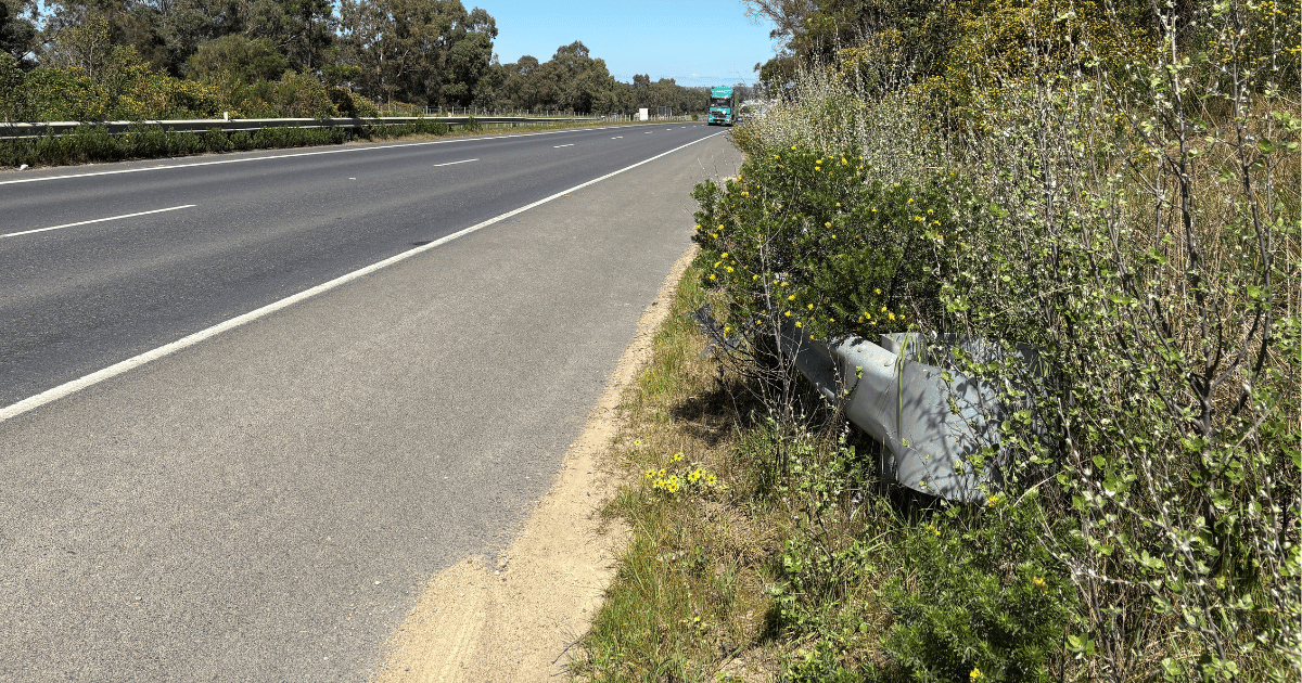 Vegetation Risk Assessment for Critical Infrastructure