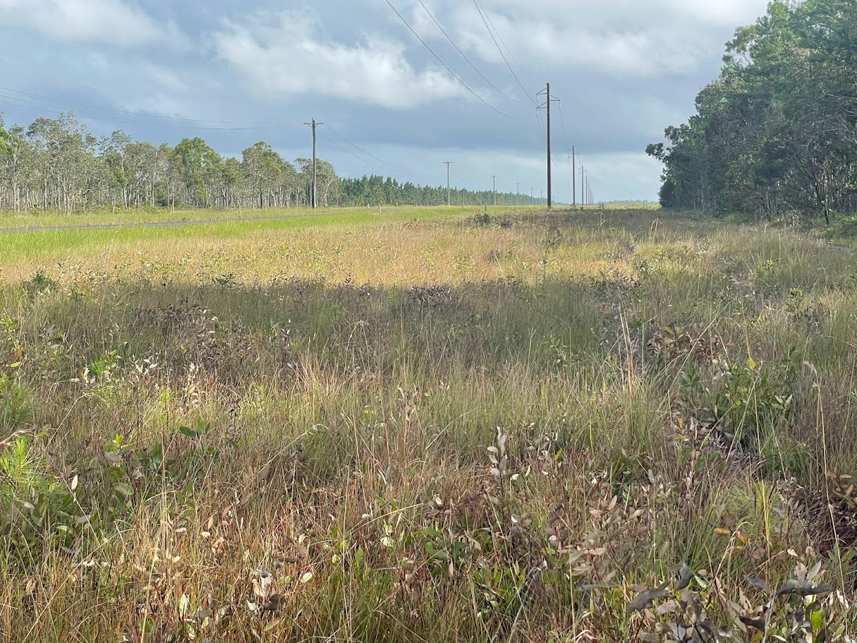 Towards Modern Vegetation Management: Solutions for Australia’s Linear Infrastructure