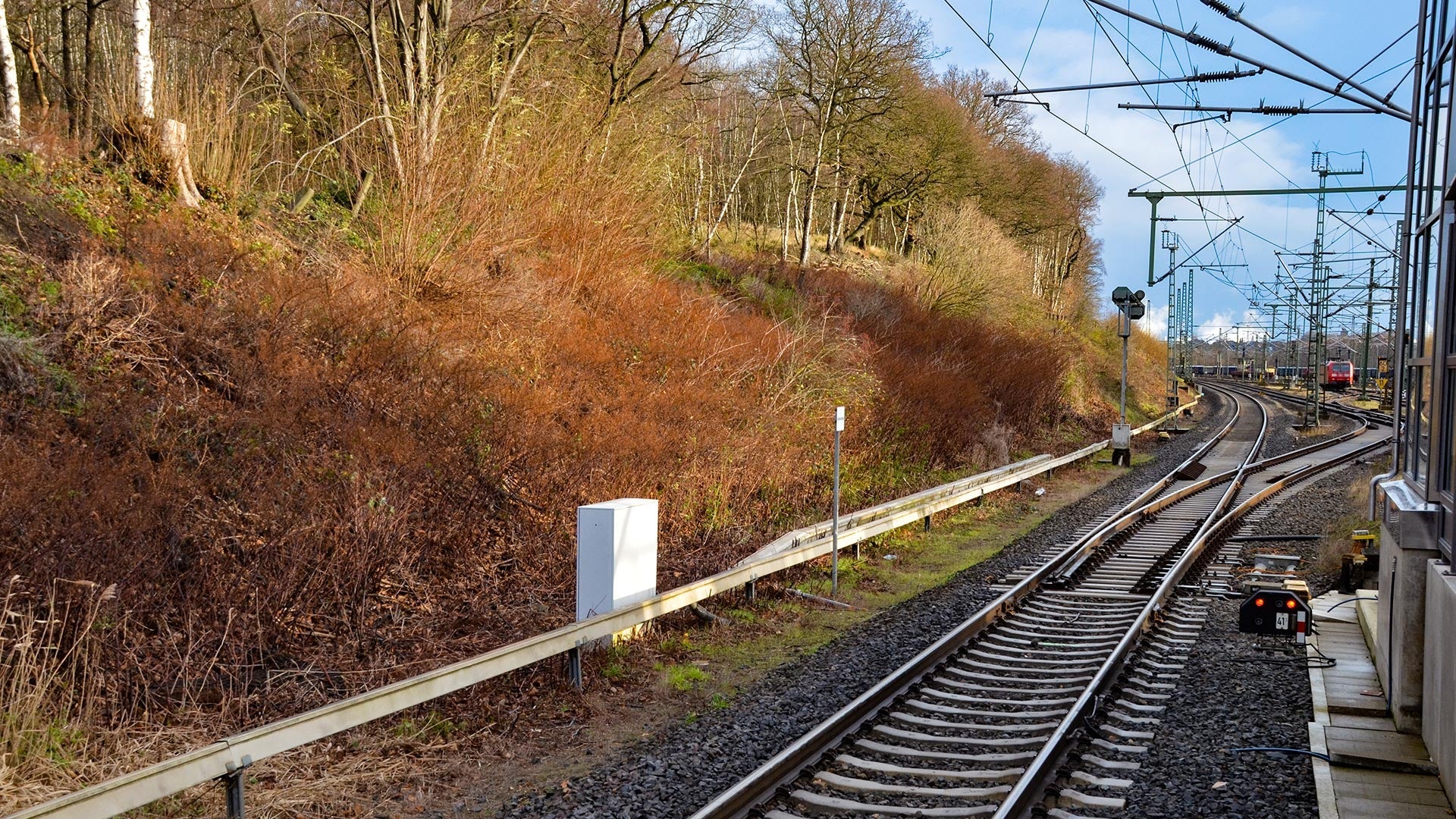 Industrial Vegetation Management: Balancing Growth and Control