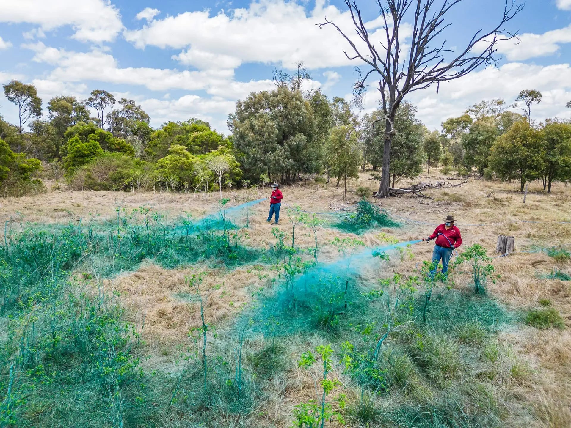 Evolution of Herbicide Technology: From High-Load Chemicals to Sustainable Solutions