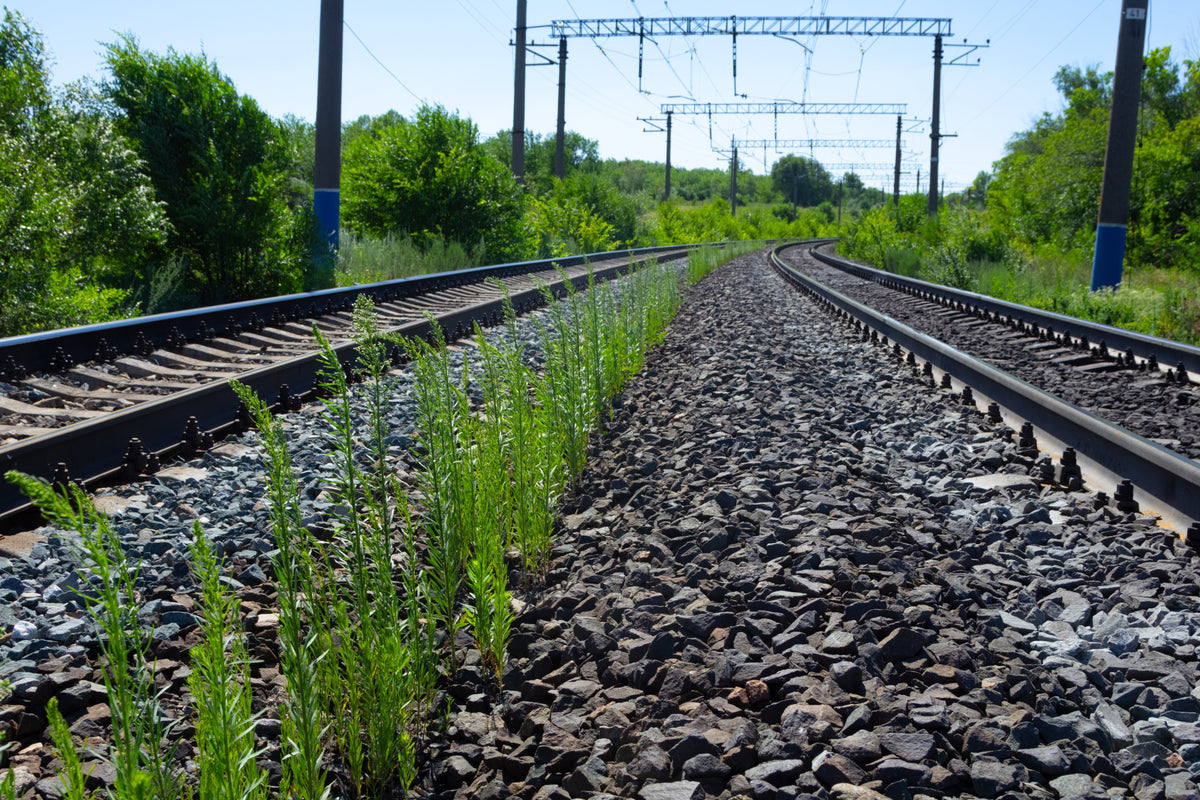 Understanding Herbicide Modes of Action