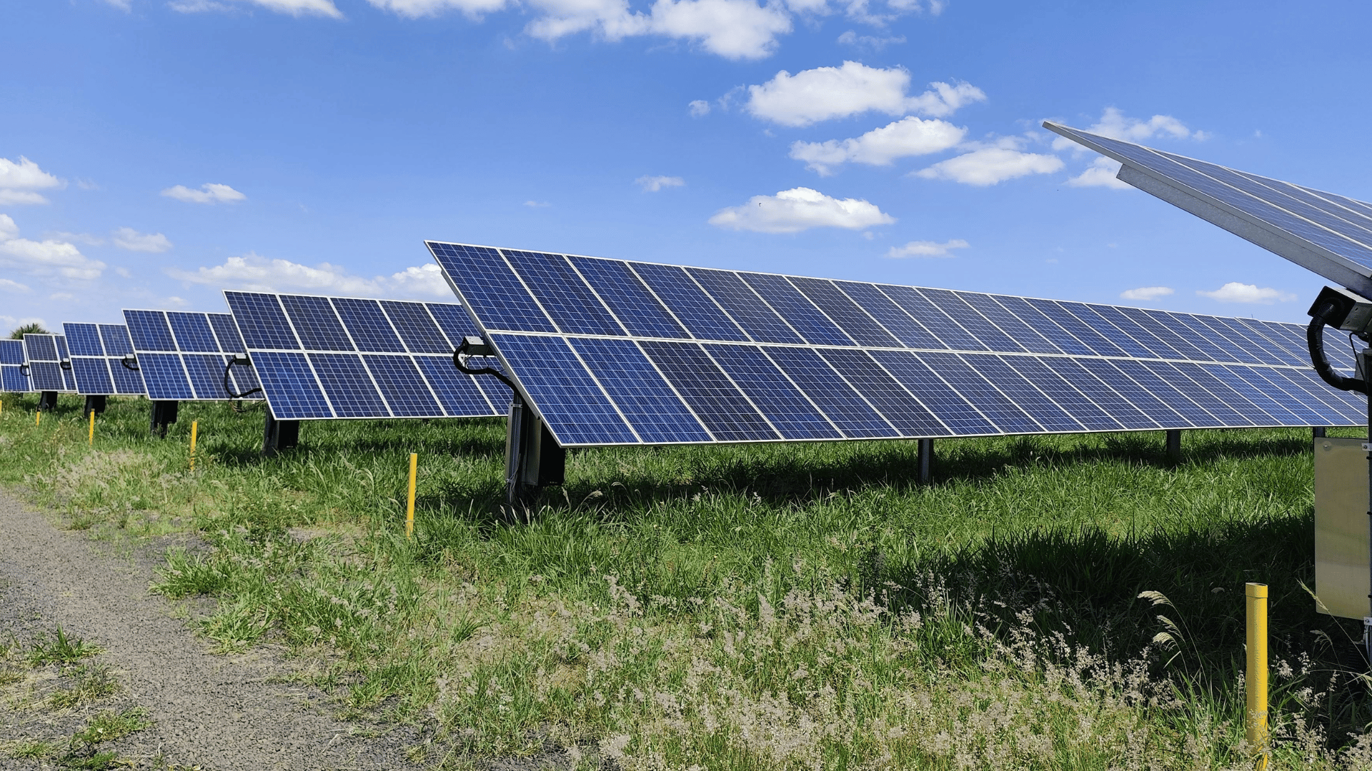 Solar Farm Vegetation Management: Moving from Reactive Control to Structured Integrated Programs