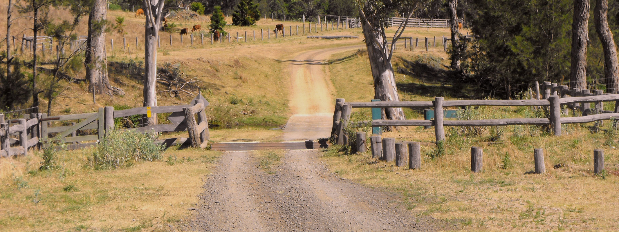 Maximise Weed Control with Pre and Post-Emergent Herbicides