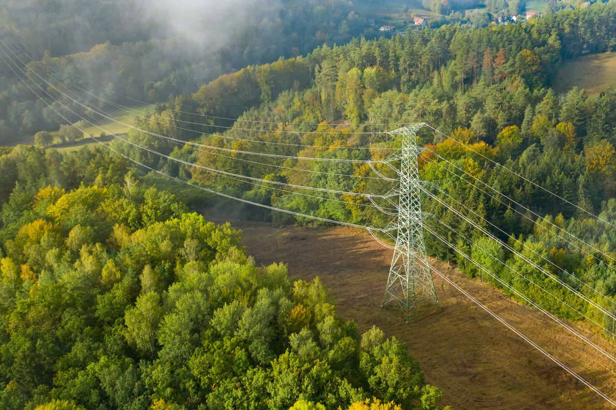 Supply disruption is a chance to review, plan and rotate.