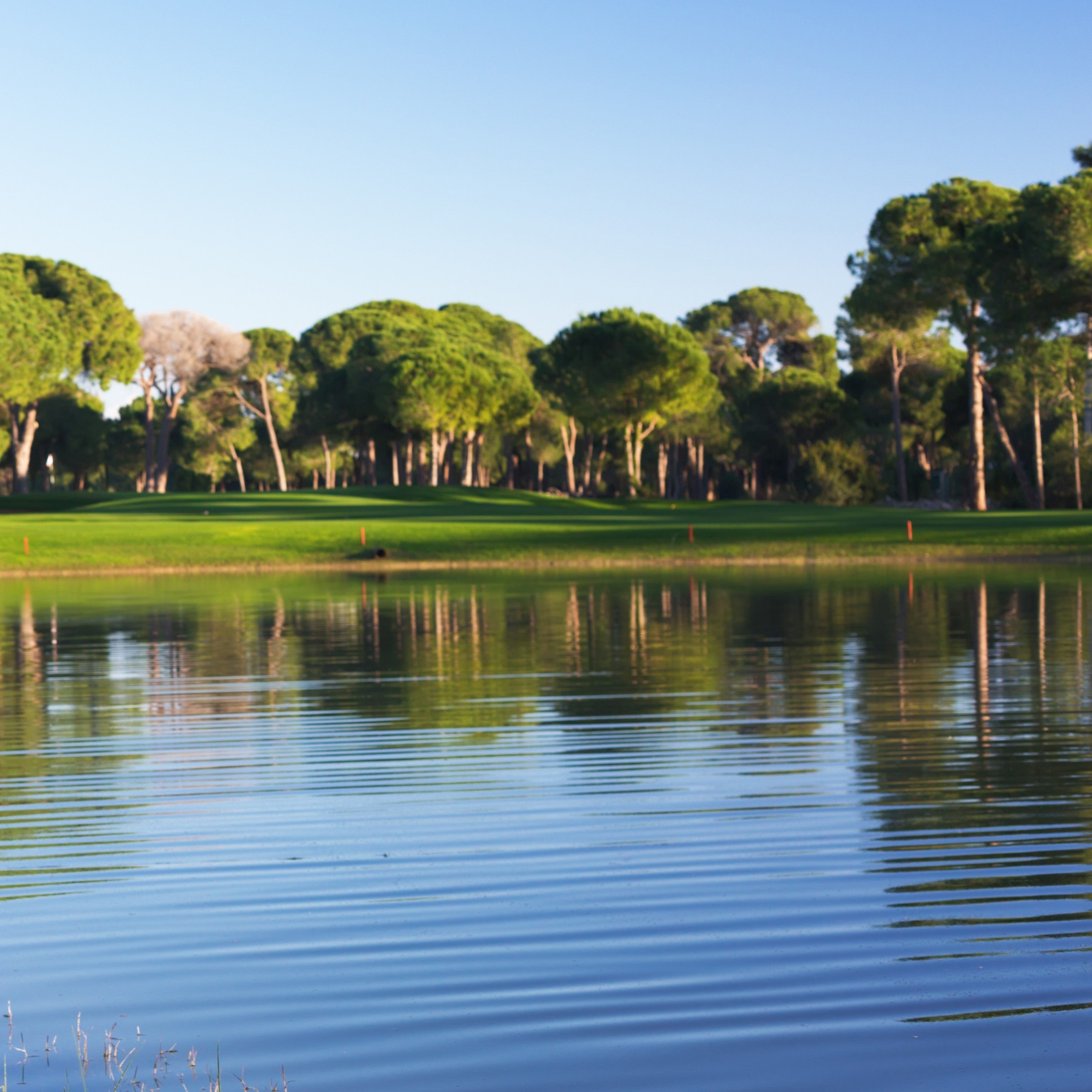 Aquatic weeds to use