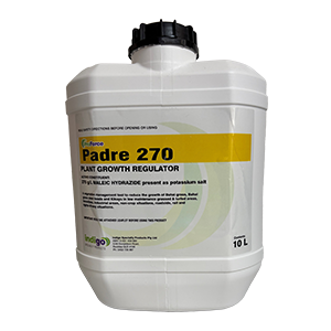 Indigo Padre 270 PGR 10L. Maleic Hydrazide