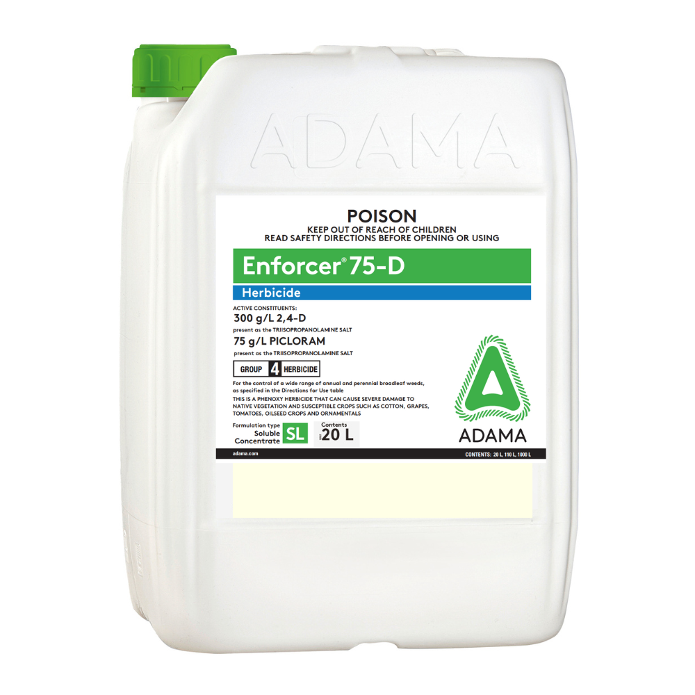 Adama Enforcer 75-D 20L Picloram 2,4-D